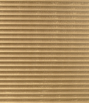 rcg_pnato_relieve