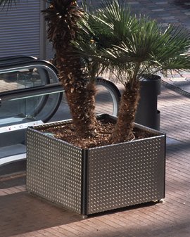 tmj_syc_plaza_inox